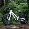 Kids ride shotgun dirt hero balance bike 12