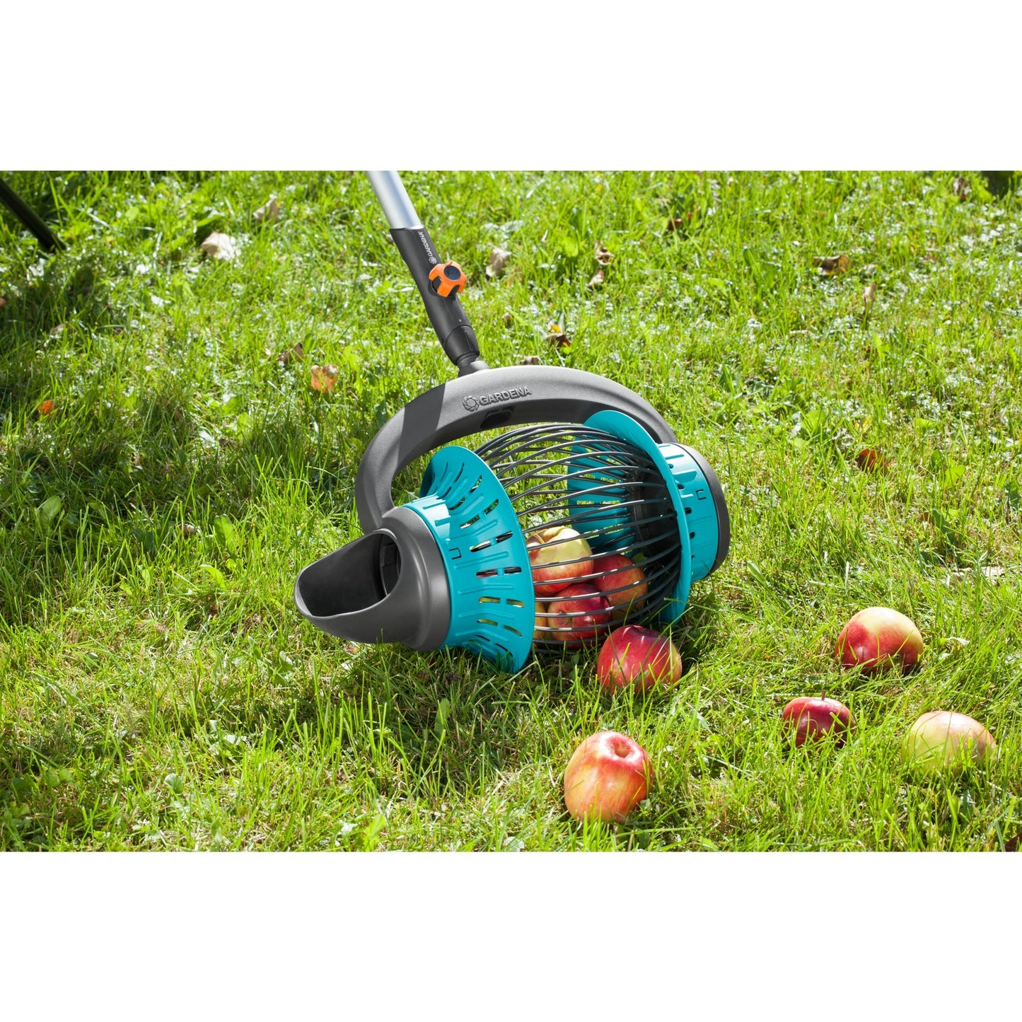 Gardena combisystem fruitverzamelaar fruitplukker (zwart turquoise, 3108-20)