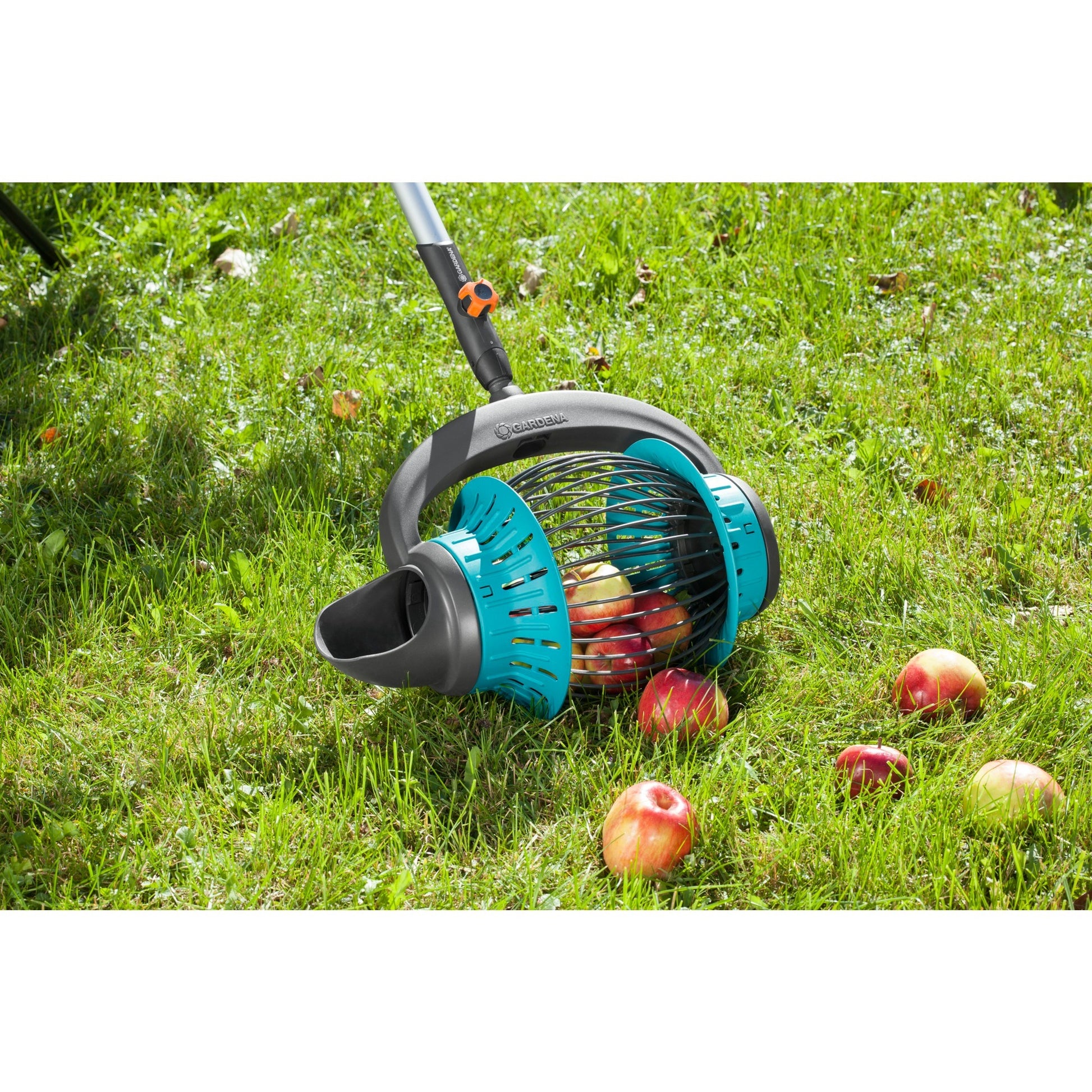Gardena combisystem fruitverzamelaar fruitplukker (zwart turquoise, 3108-20)