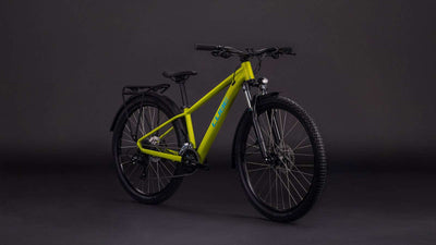 Cube acid 260 disc fe lizard´n´blue