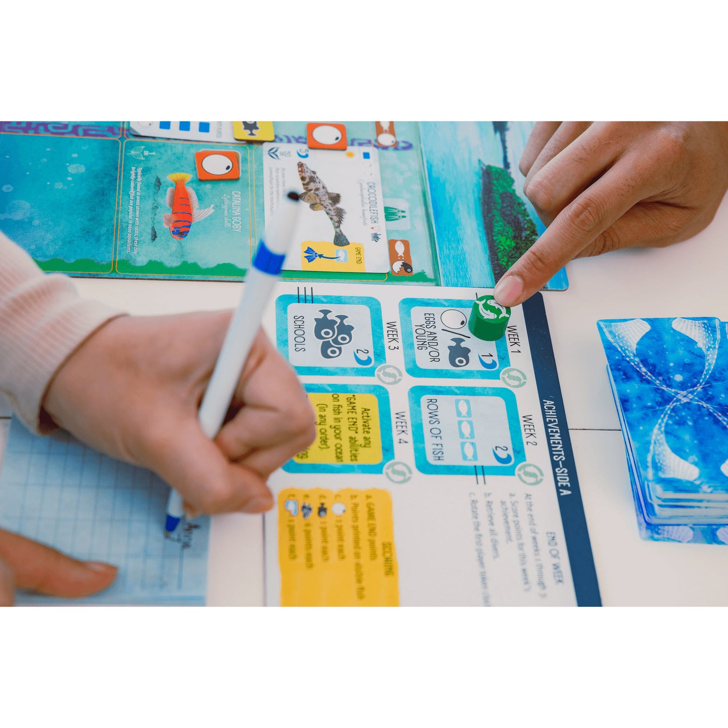 999games 999 games finspan bordspel (nederlands, 1 - 5 spelers, 60 minuten, vanaf 10 jaar)
