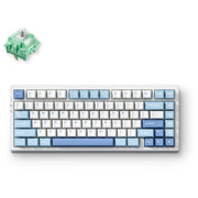 Mchose g75 pro tri-mode gasket structuur mechanisch gaming toetsenbord (blauw, us lay-out (qwerty), ktt cabbage tofu v2, 75%, rgb, hot swap, pbt double-shot, 2.4 ghz | usb-c | bluetooth) - afbeelding 2