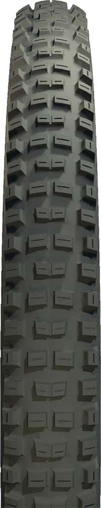 Zleen hawk pro tubeless apex 29x2.45 dc 120tpi b2b folding tire