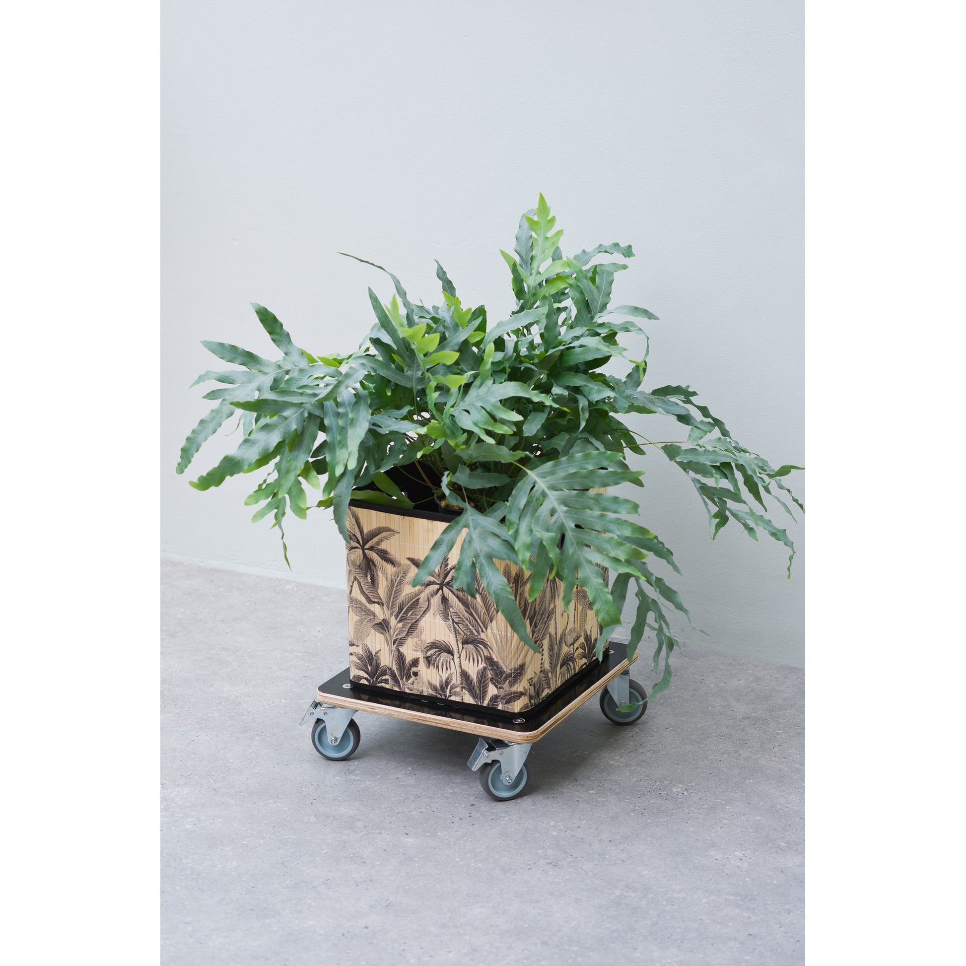 Nature planttrolley vierkant rolplank (zwart)