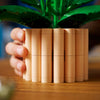 Lego the botanical collection - lepelplant constructiespeelgoed (11504)