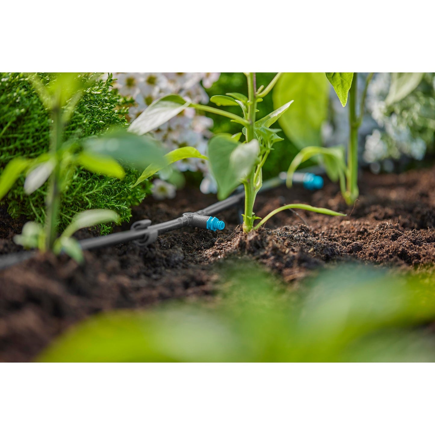 Gardena seriedruppelaar 2 l u druppelaar (zwart turquoise, 10 stuks)