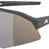 Alpina sonic hr q-lite - sports glasses