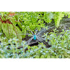 Gardena sproeier voor kleine oppervlakken (zwart turquoise, 10 stuks)