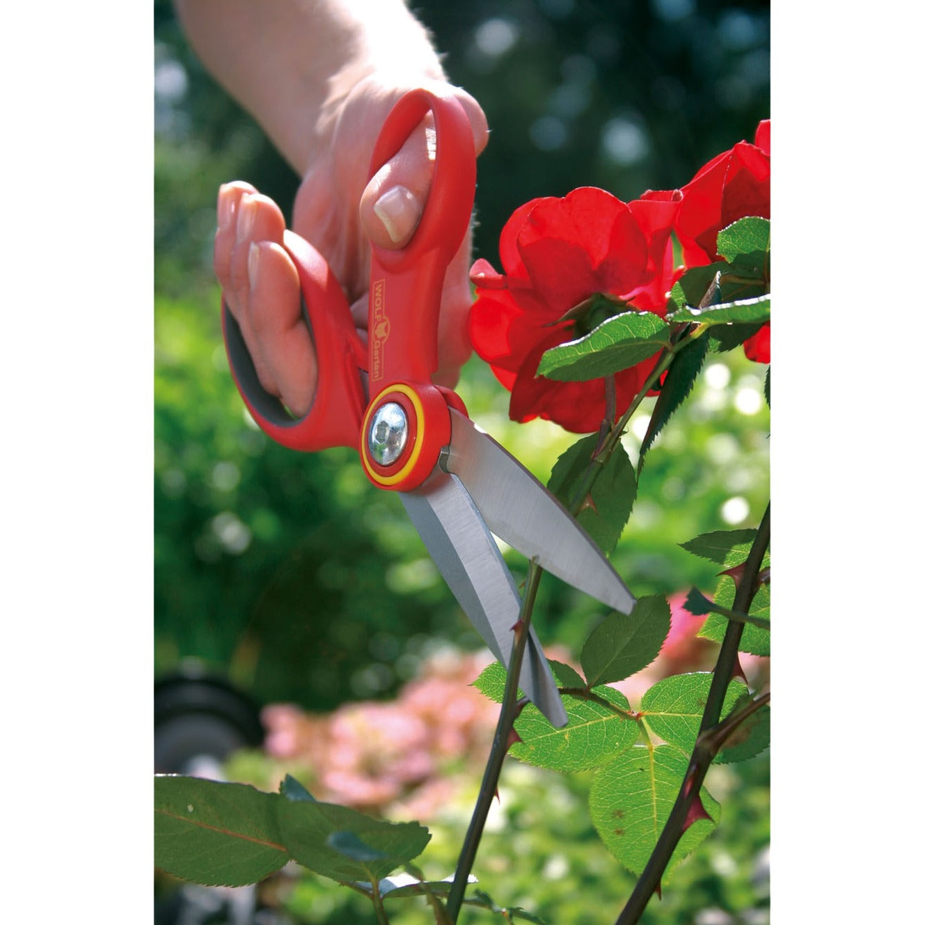 Wolf-garten ra-x tuinschaar snoeischaar (rood geel)