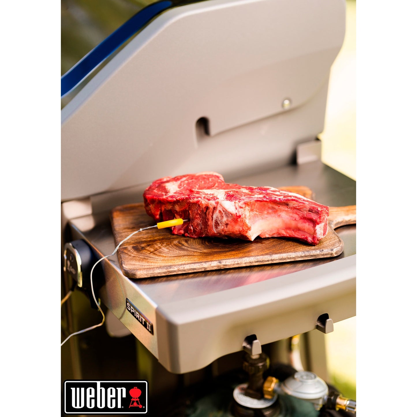 Weber igrill 2 thermometer