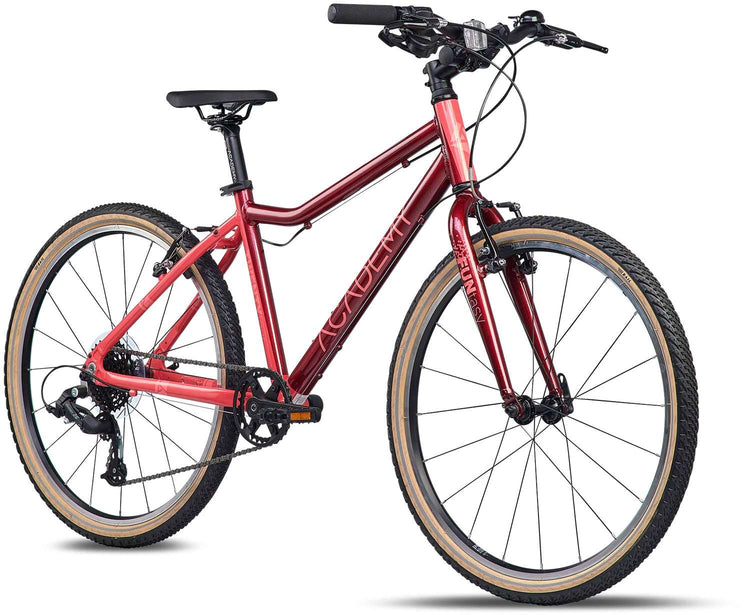 Academy grade 5 funtasy children's bike