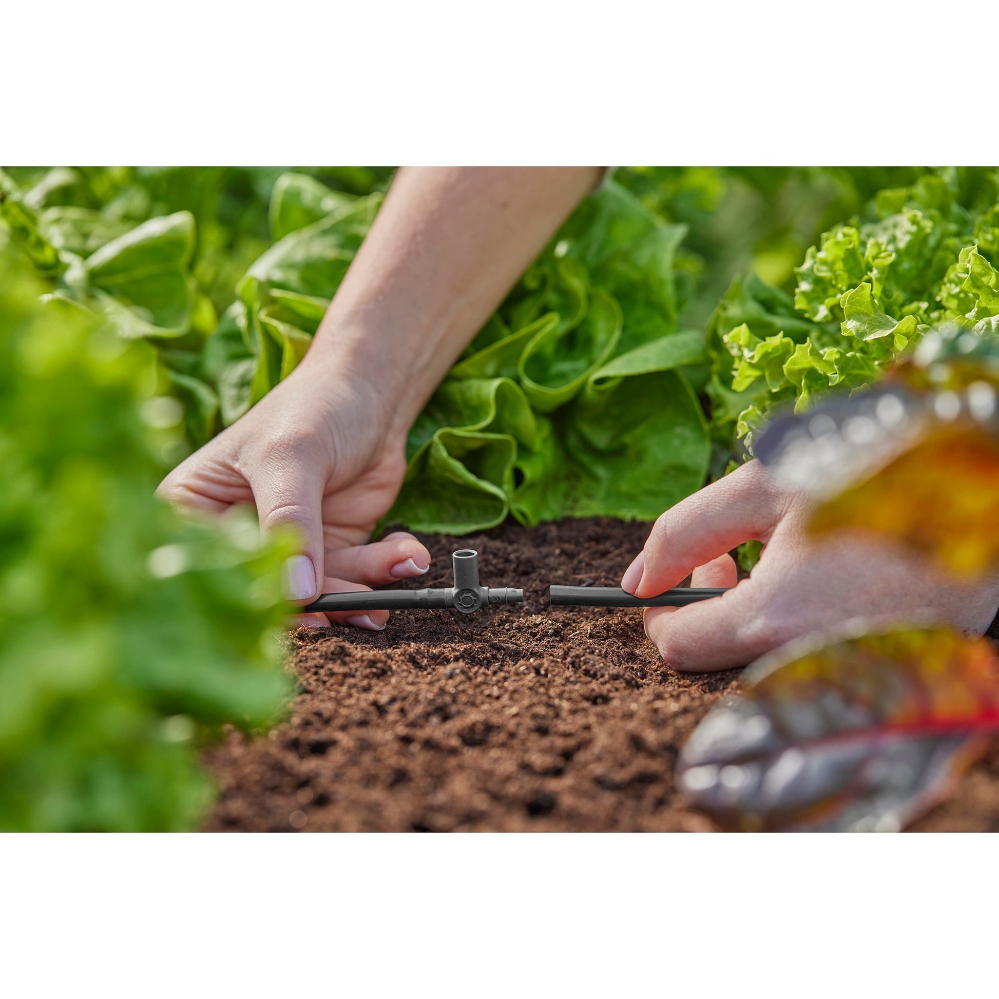 Gardena t-stuk voor sproeiers einddruppelaars 4,6 mm (3 16 ) verbinding (donkergrijs, 5 stuks)