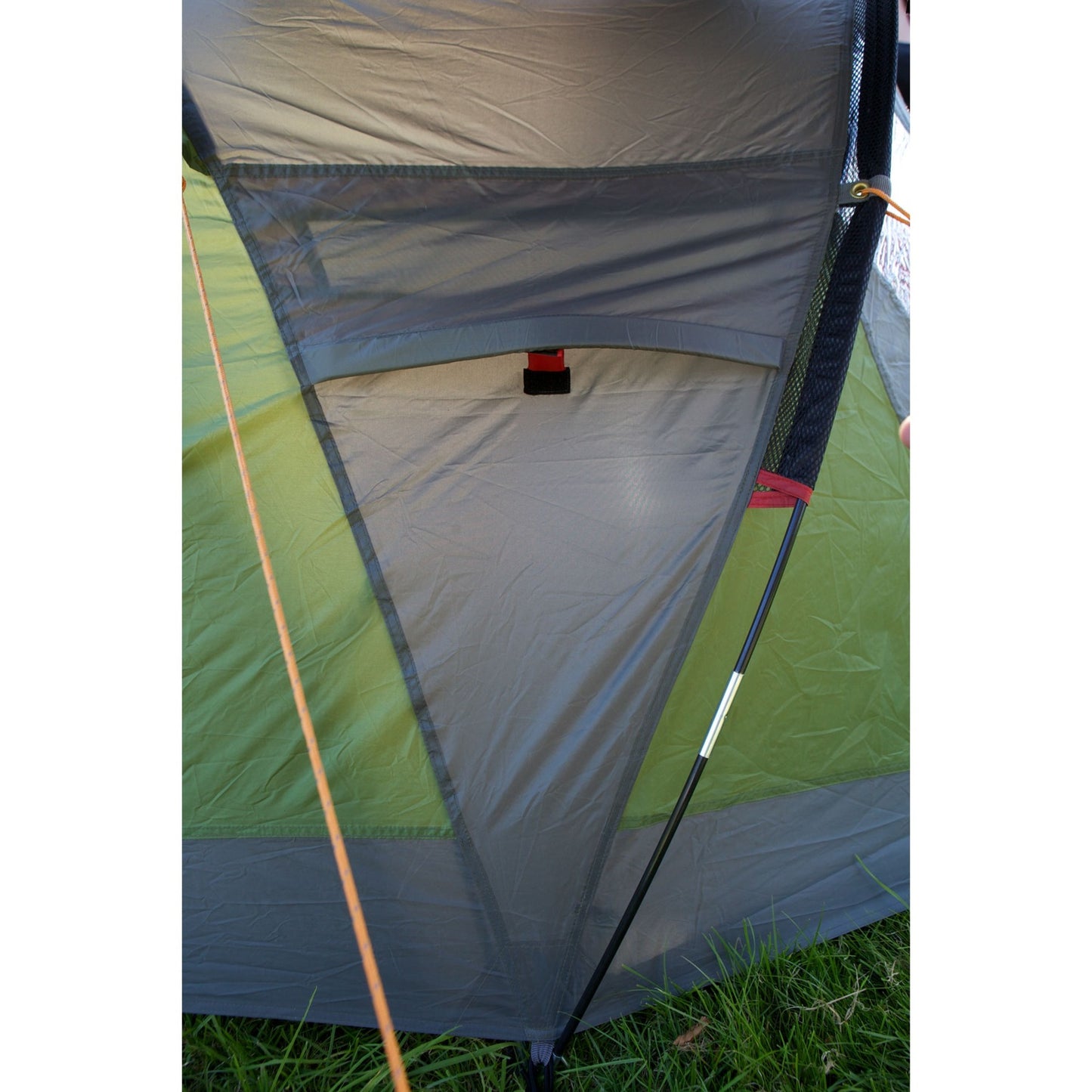 Coleman darwin 2+ tent (groen grijs)