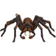 Schleich wizarding world - aragog - harry potter - 13987