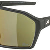 Alpina ram q-lite - sports glasses