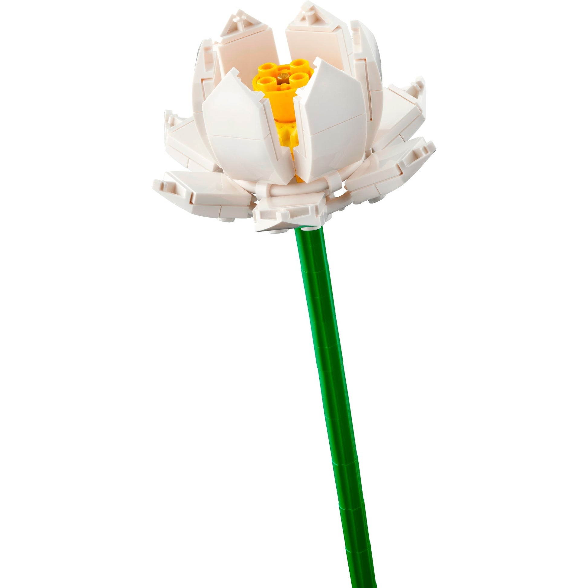 Lego iconic lotusbloemen - botanical collection - 40647
