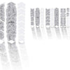 Unleazhed unscratch - frame protection film monstera white matt
