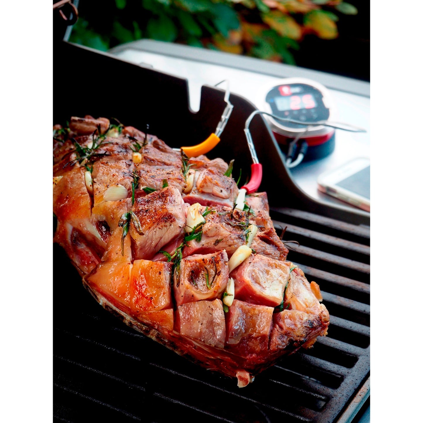 Weber igrill 2 thermometer
