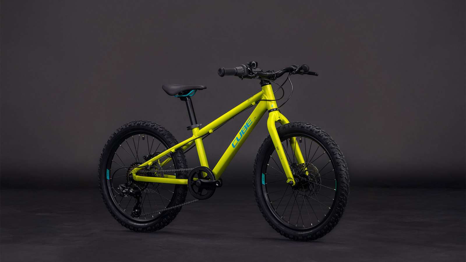 Cube acid 200 disc lizard´n´blue