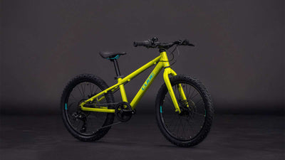 Cube acid 200 disc lizard´n´blue