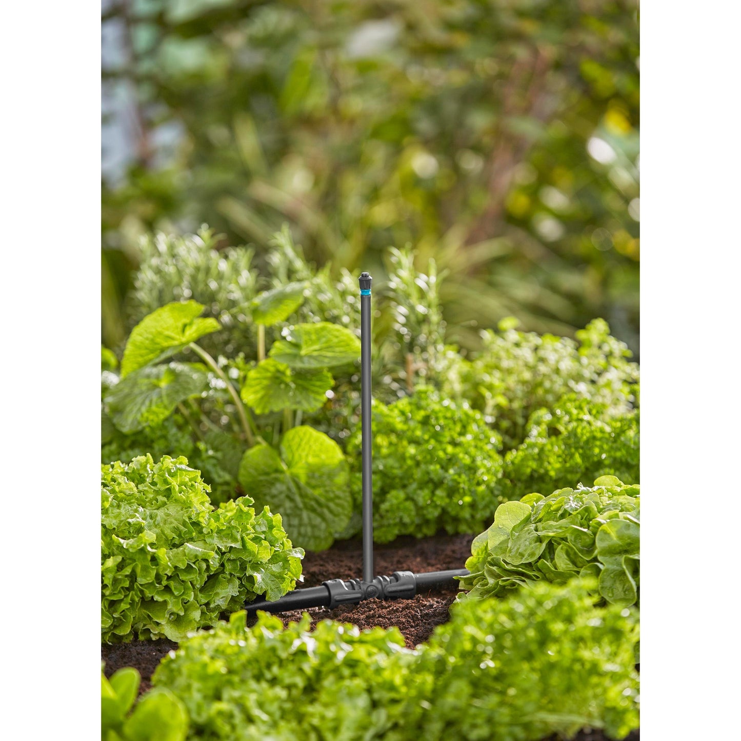 Gardena sproeier 360° (zwart turquoise, 5 stuks)