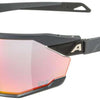 Alpina twist six qv - sports glasses