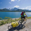 Bob ibex bicycle trailer gold with bag