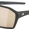 Alpina ram q-lite v - sports glasses
