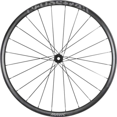 Mavic crosstrail sl 29 carbon disc 6-bolt sram xd wheelset