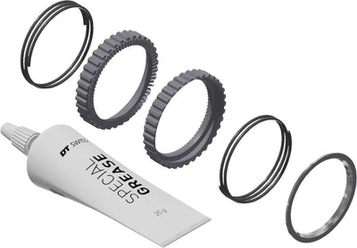 Dt swiss ratchet deg 72t service kit