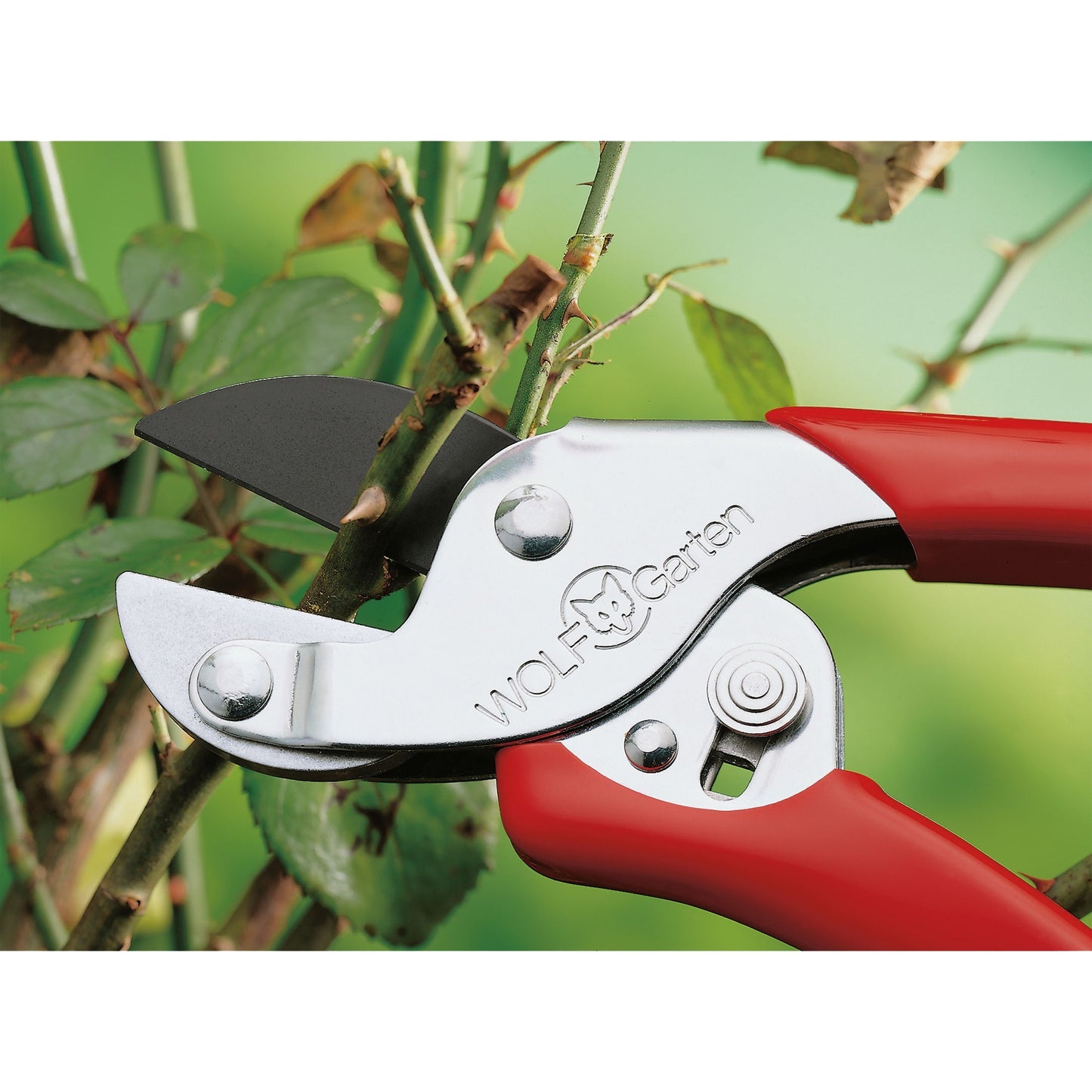 Wolf-garten snoeischaar rs-en - aambeeld - max. knipdiameter 19 mm - geschikt voor links- en rechtshandige