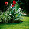 Gardena gazonranden (groen) begrenzing (groen, 538-20, 15 cm)