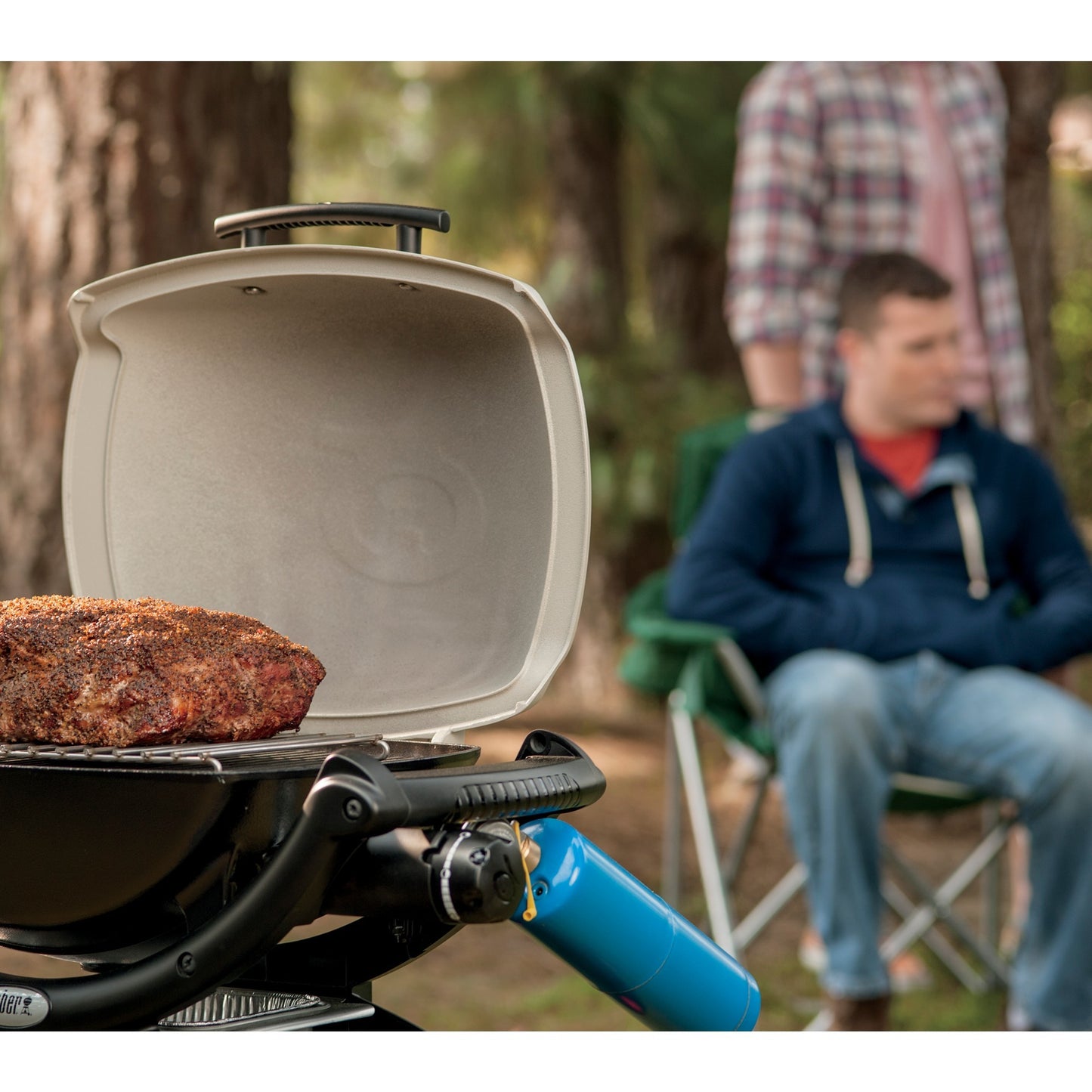 Weber grillrooster - q 1000 100, 1200 120 en 1400 140