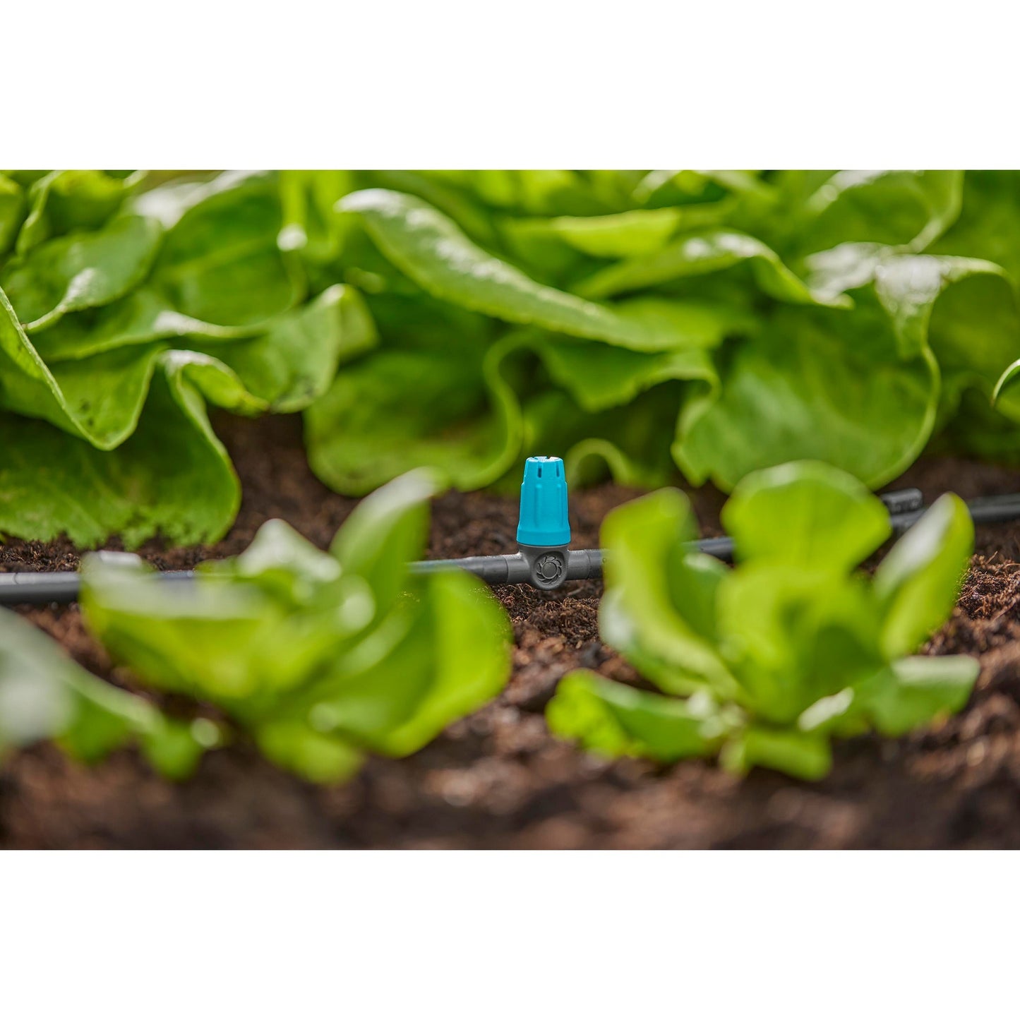 Gardena sproeier voor kleine oppervlakken (zwart turquoise)