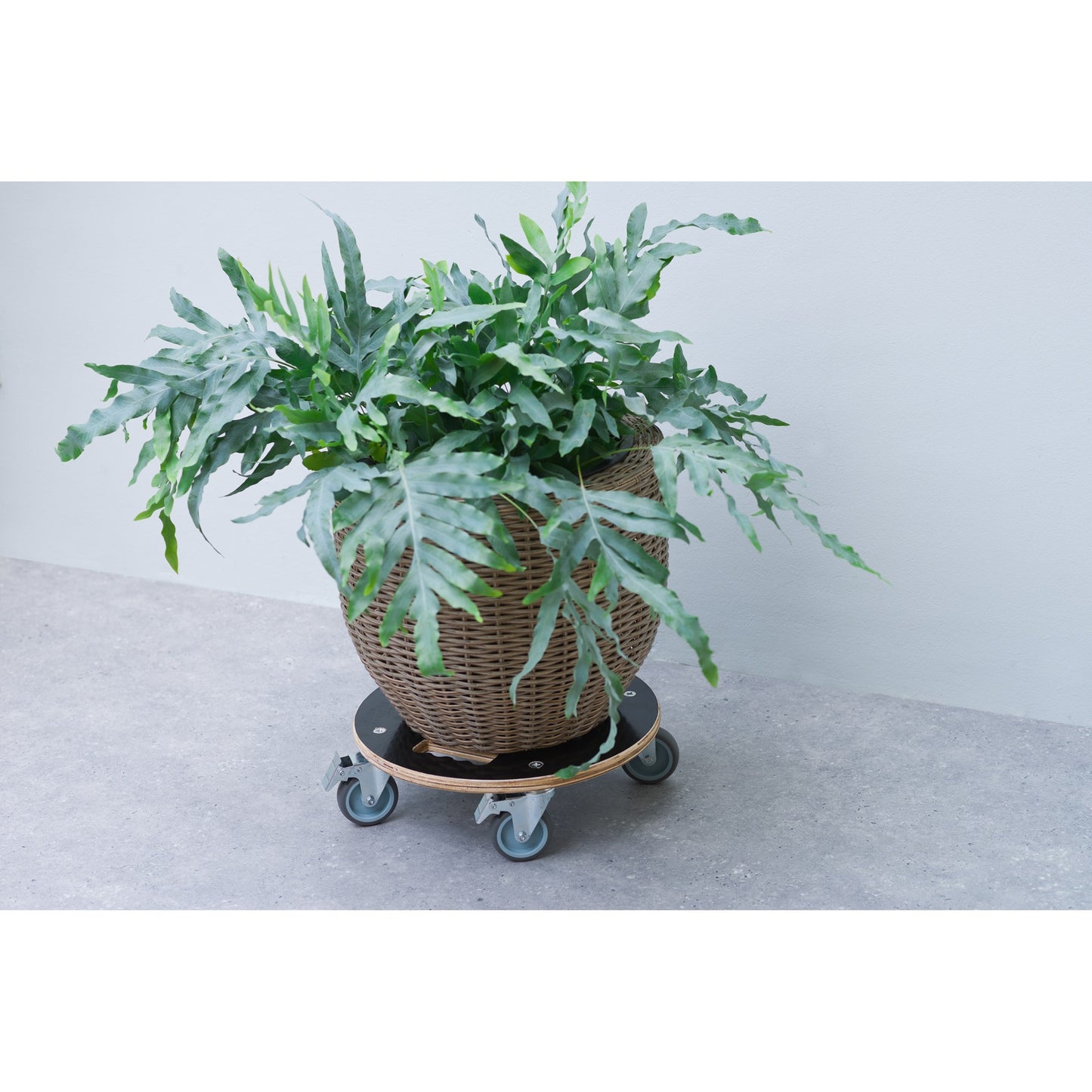Nature planttrolley rond rolplank (zwart)