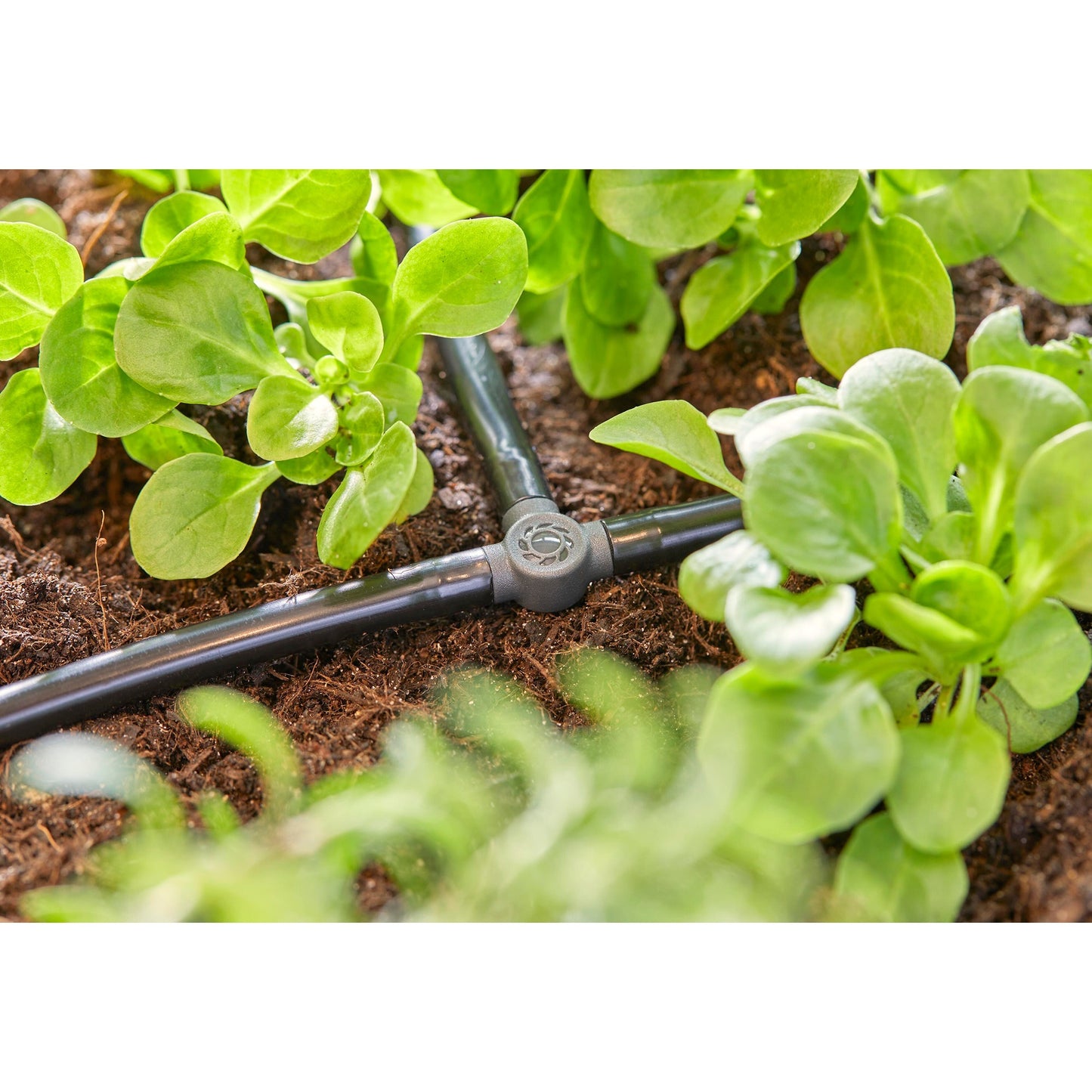 Gardena t-stuk 4,6 mm (3 16 ) verbinding (donkergrijs, 10 stuks)