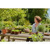 Gardena soft sprayer plantenspuit (grijs, 11102-20, 0,45 l)