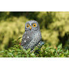Ubbink kleine uil waterornament