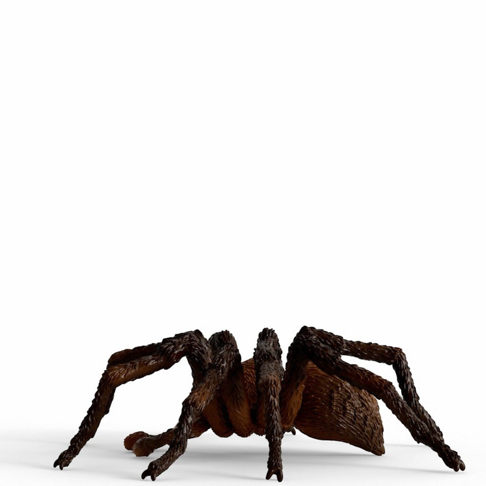 Schleich wizarding world - aragog - harry potter - 13987