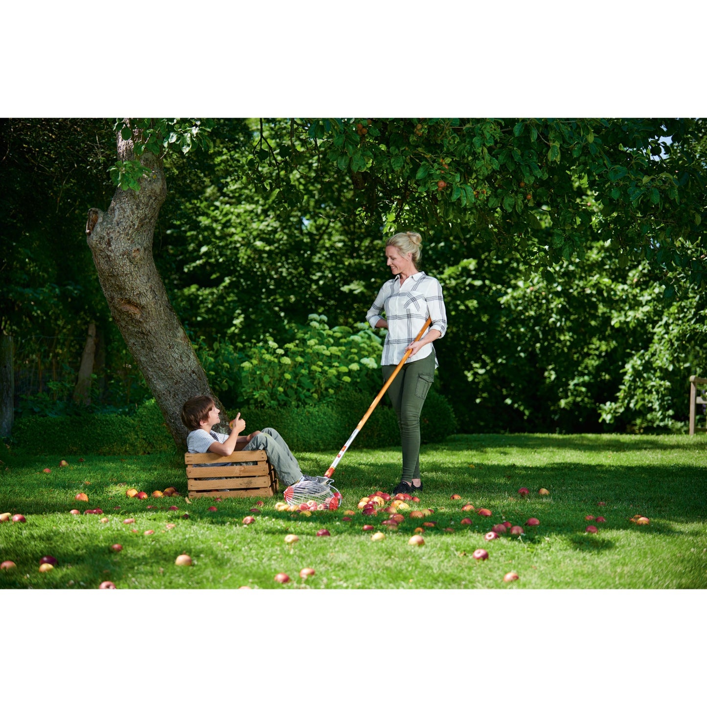Wolf-garten multi-star fc-m fruitverzamelaar fruitplukker (rood, beugel inbegrepen)