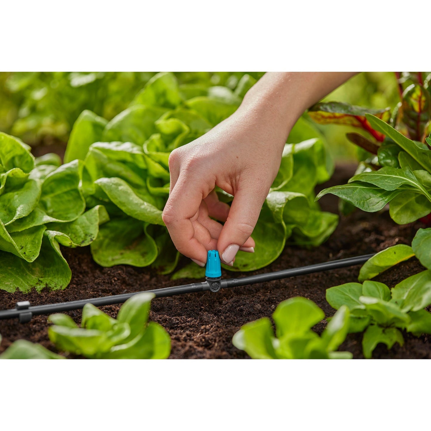 Gardena sproeier voor kleine oppervlakken (zwart turquoise)