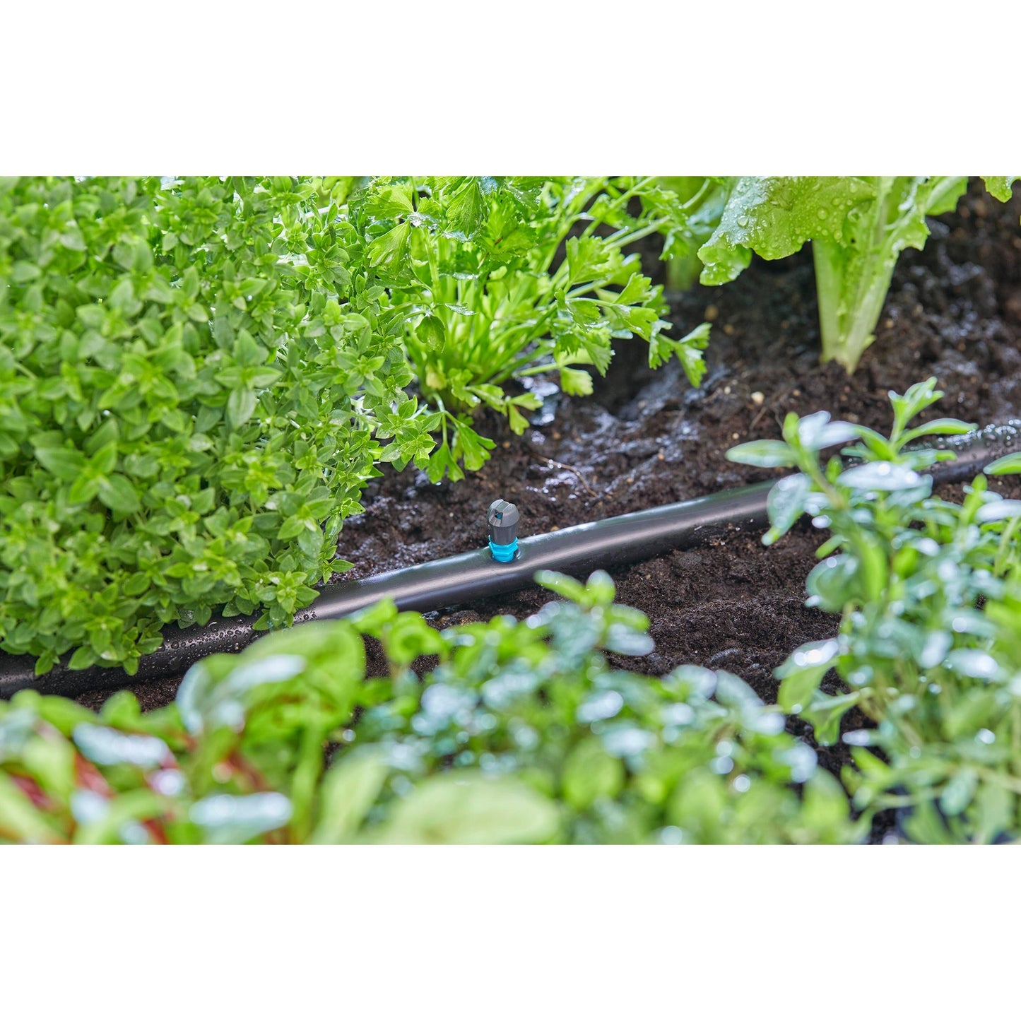 Gardena micro strook sprinkler (zwart turquoise, 5 stuks)