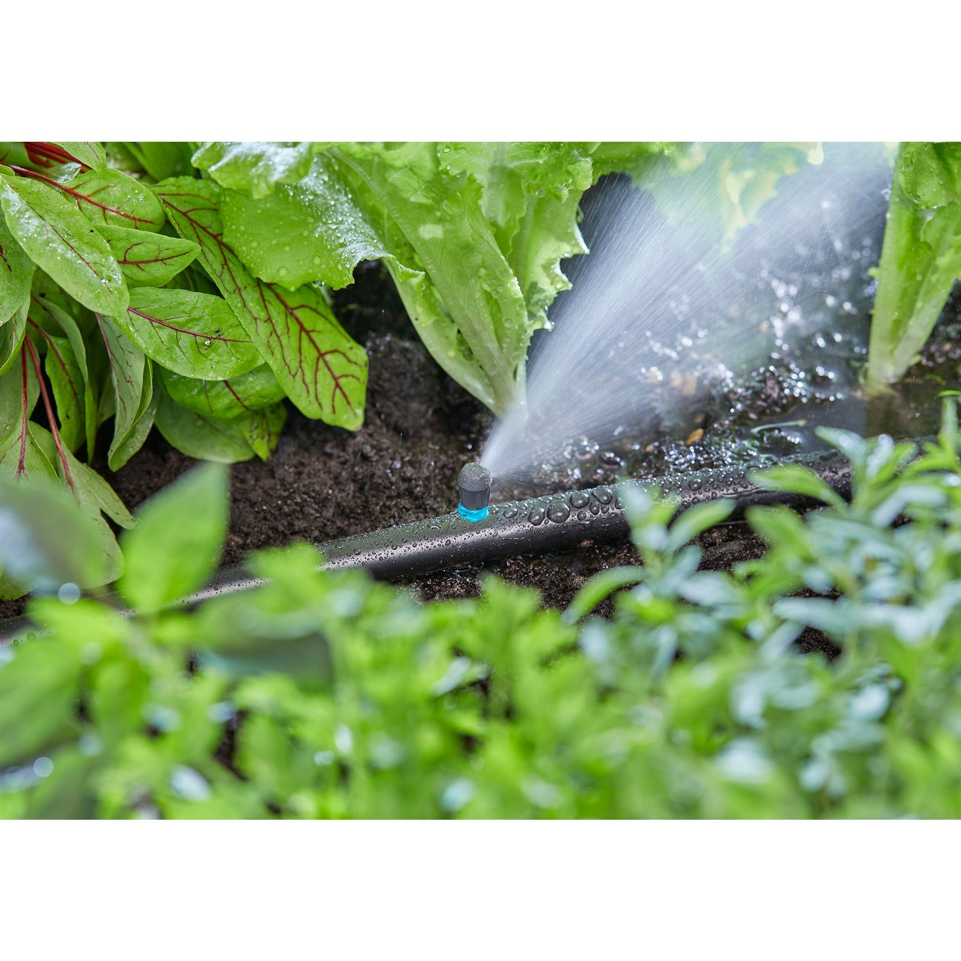 Gardena micro strook sprinkler uiteinde (zwart turquoise, 5 stuks)