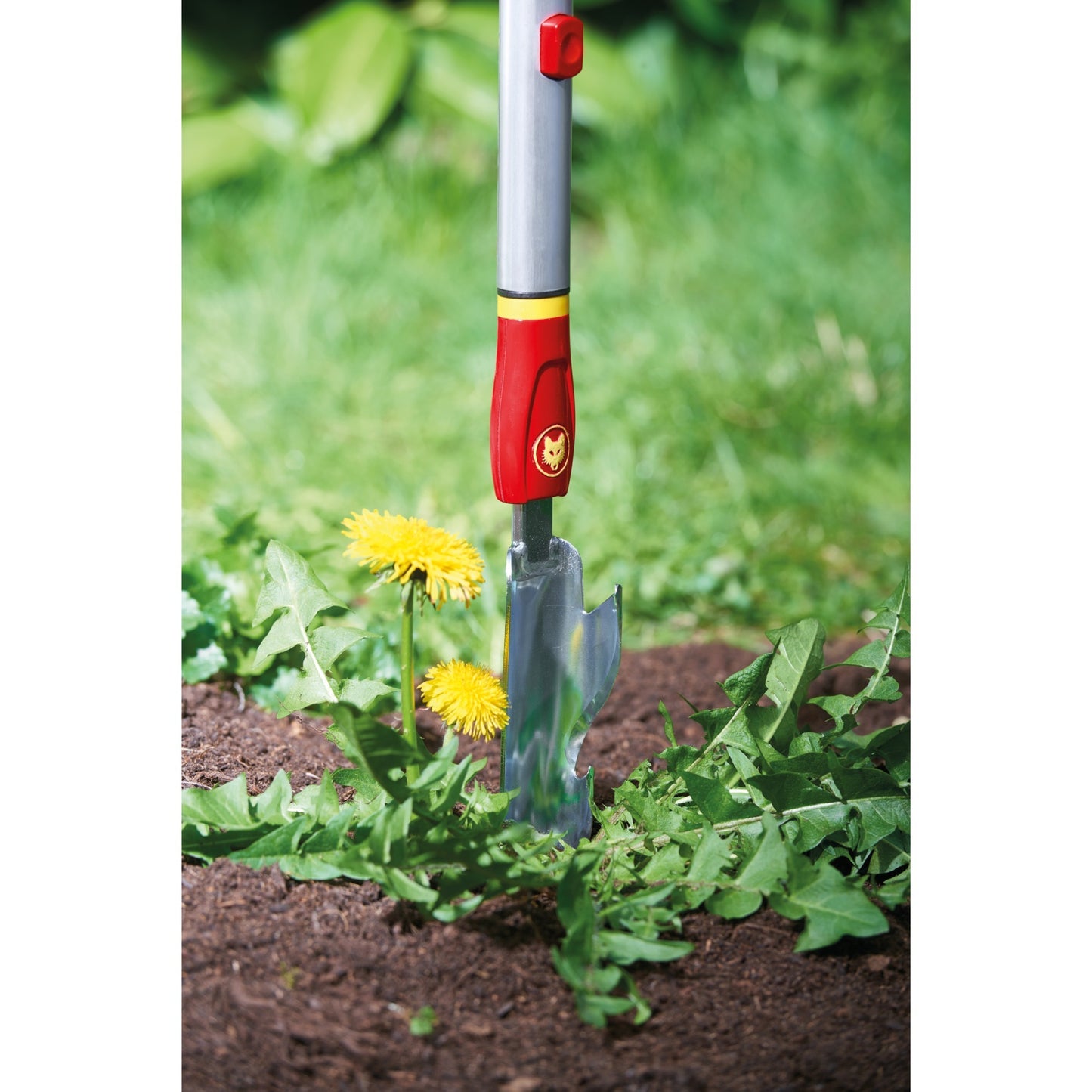 Wolf-garten multi-star iw-m distelsteker onkruidsteker (rood zilver)