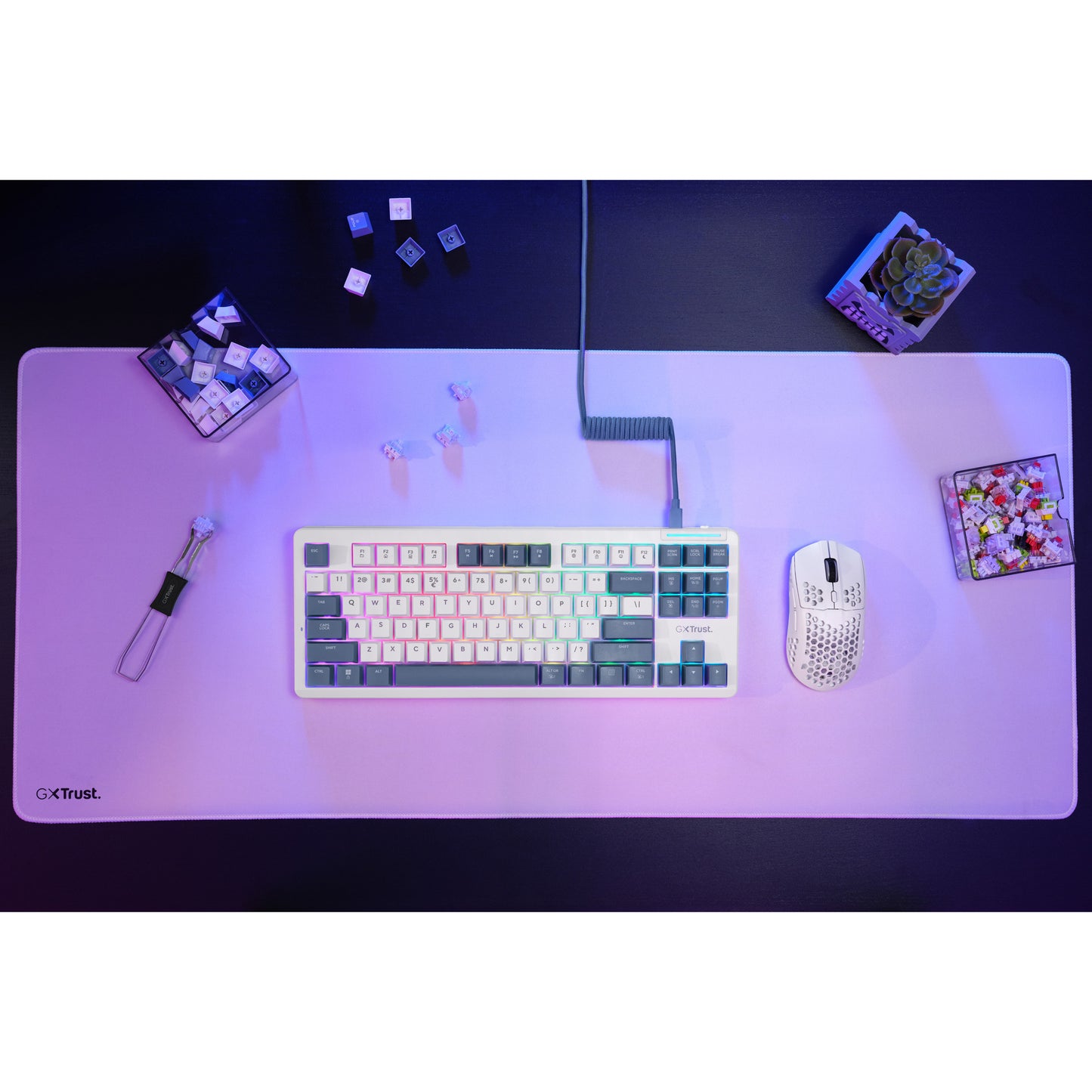 Trust gxt 872 xyra mechanisch tkl-gamingtoetsenbord (wit, us lay-out (qwerty), leobog seiya, 80% (tkl), rgb, hot swap)