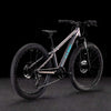 Cube acid 240 disc galactic´n´cyan