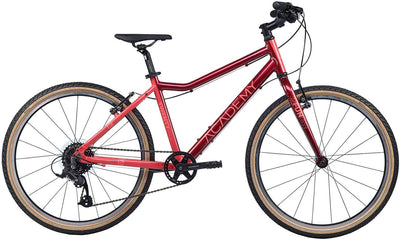 Academy grade 5 funtasy children's bike