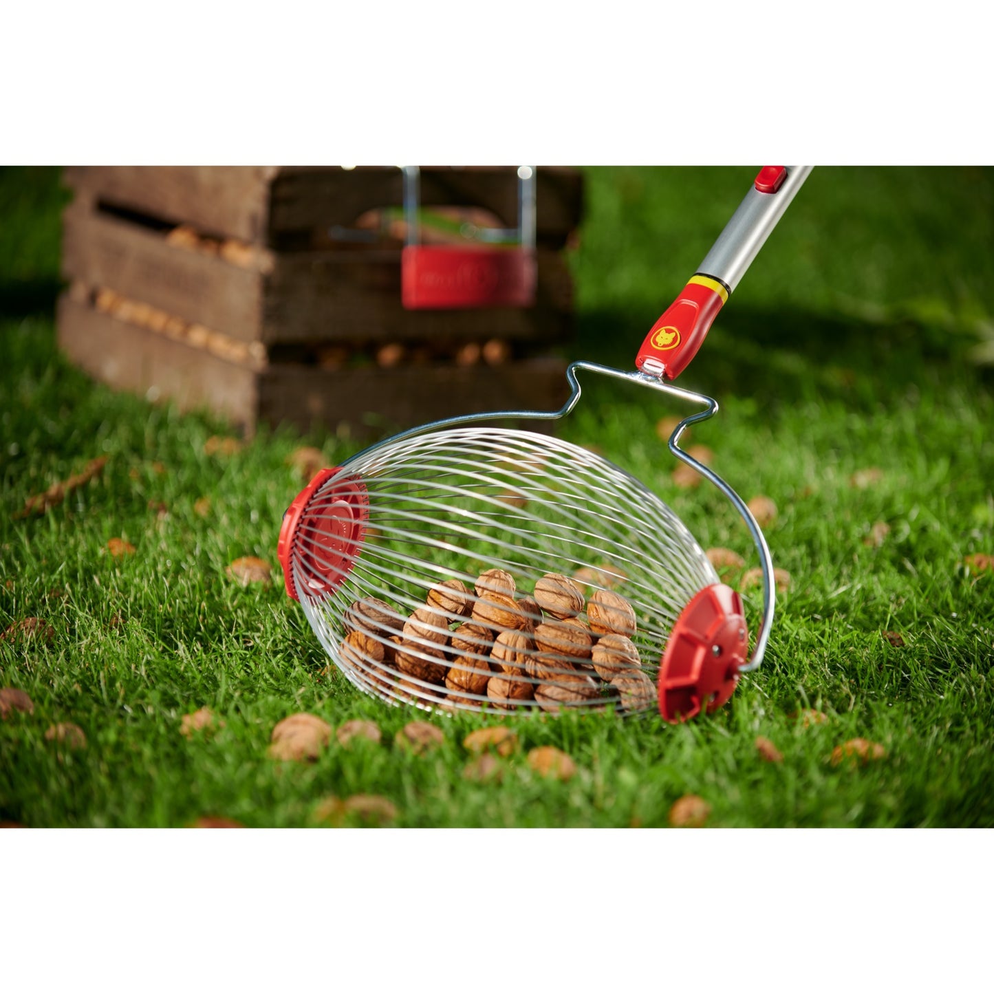 Wolf-garten wolf multi-star combisysteem 71aza001650 fc-ms fruitverzamelaar 300 mm