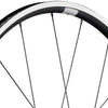 Dt swiss pr 1400 dicut 21mm frontwheel
