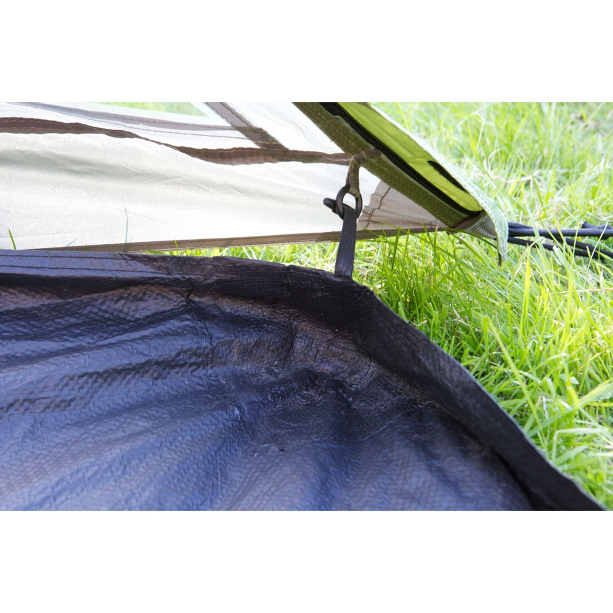 Coleman darwin 2+ tent (groen grijs)
